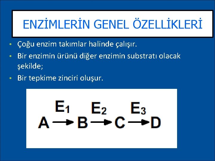 ENZİMLERİN GENEL ÖZELLİKLERİ Çoğu enzim takımlar halinde çalışır. • Bir enzimin ürünü diğer enzimin