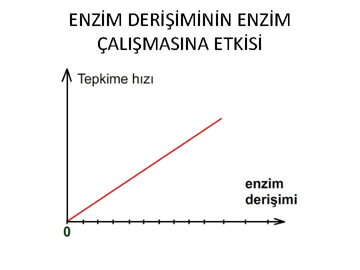 ENZİM DERİŞİMİNİN ENZİM ÇALIŞMASINA ETKİSİ 