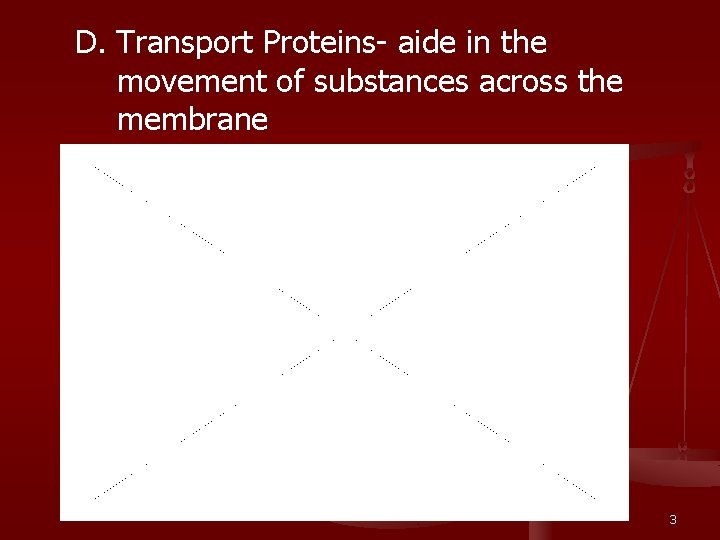 D. Transport Proteins- aide in the movement of substances across the membrane 3 