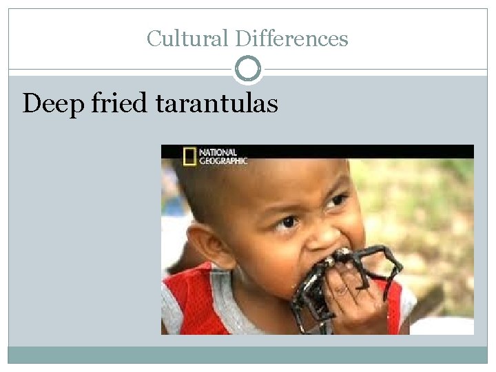 Cultural Differences Deep fried tarantulas 