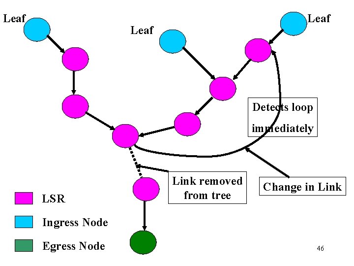 Leaf Detects loop immediately LSR Link removed from tree Change in Link Ingress Node