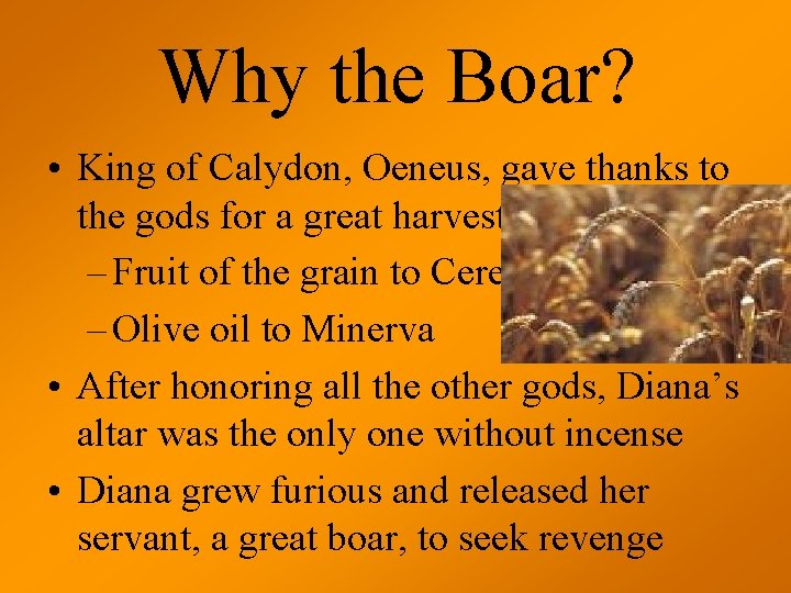 Why the Boar? • King of Calydon, Oeneus, gave thanks to the gods for