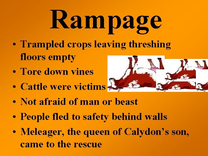 Rampage • Trampled crops leaving threshing floors empty • Tore down vines • Cattle