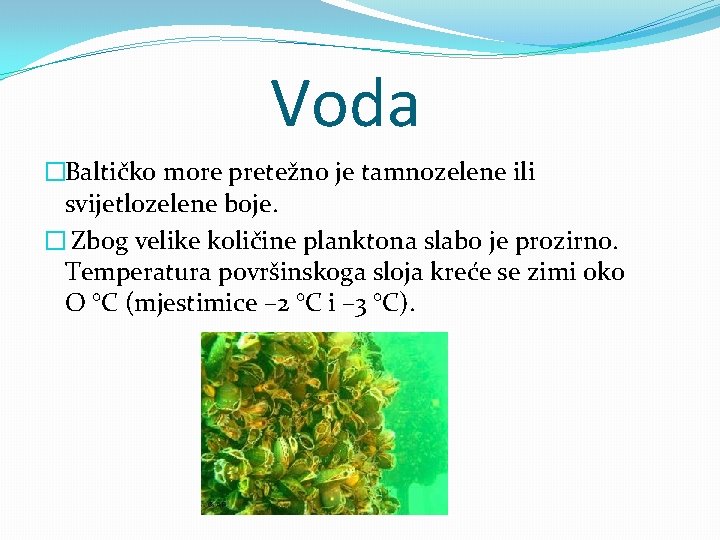 Voda �Baltičko more pretežno je tamnozelene ili svijetlozelene boje. � Zbog velike količine planktona