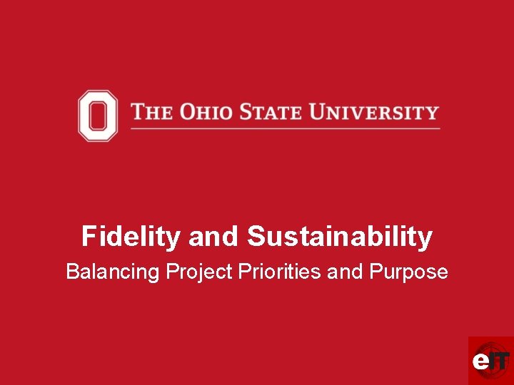 Fidelity and Sustainability Balancing Project Priorities and Purpose 