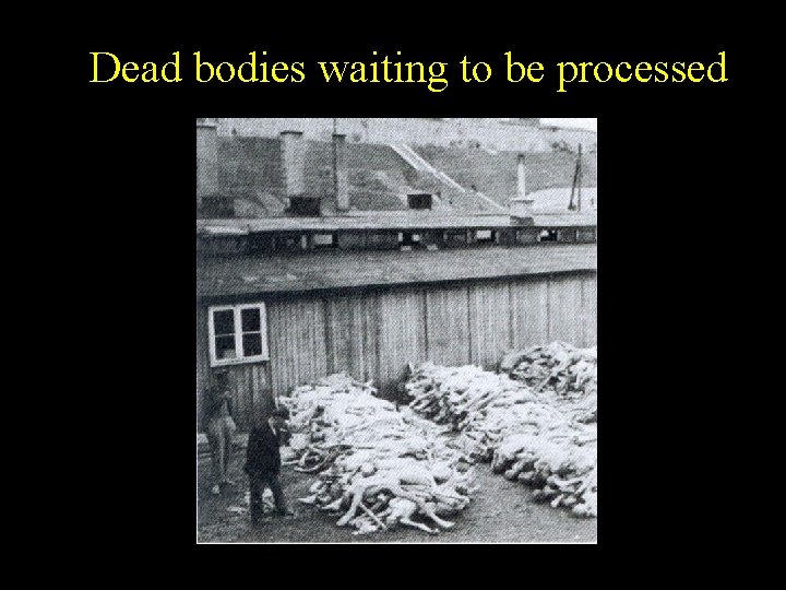 Dead bodies waiting to be processed 