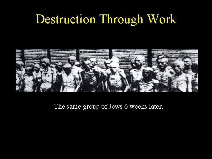 Destruction Through Work The same group of Jews 6 weeks later. 