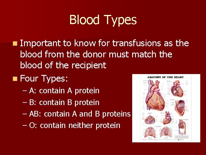 Blood Types n Important to know for transfusions as the blood from the donor