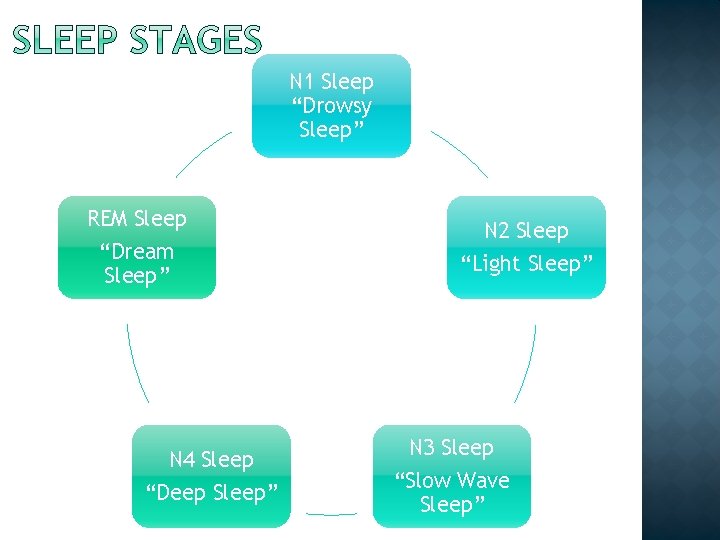 N 1 Sleep “Drowsy Sleep” REM Sleep “Dream Sleep” N 4 Sleep “Deep Sleep”