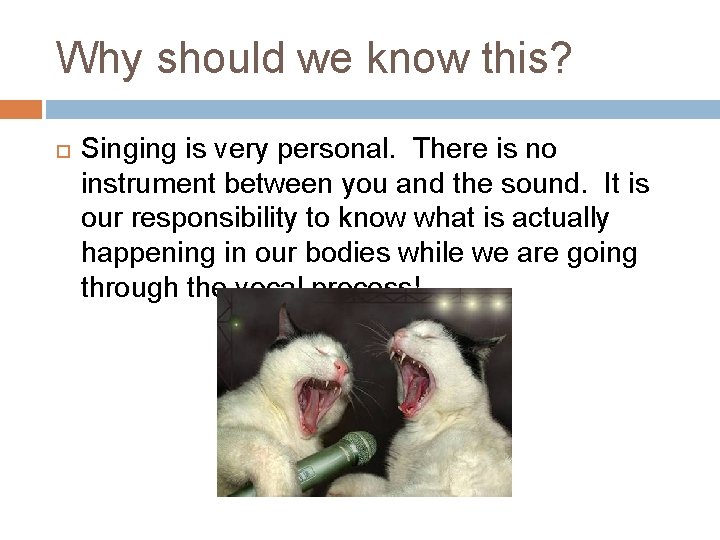 parts of the body used when singing