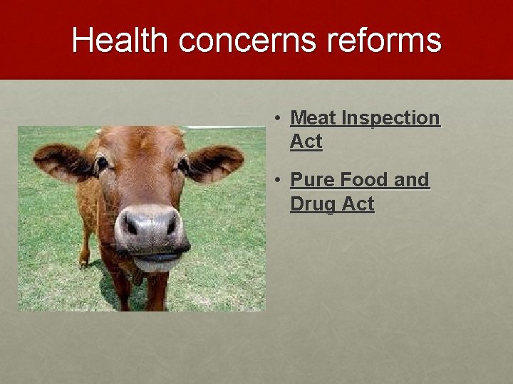Health concerns reforms • Meat Inspection Act • Pure Food and Drug Act 
