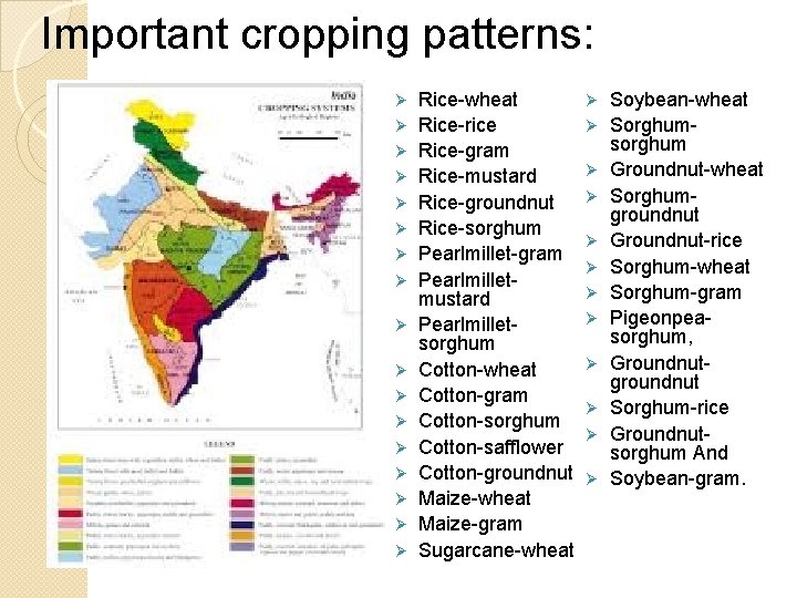 Important cropping patterns: Ø Ø Ø Ø Ø Rice-wheat Rice-rice Rice-gram Rice-mustard Rice-groundnut Rice-sorghum