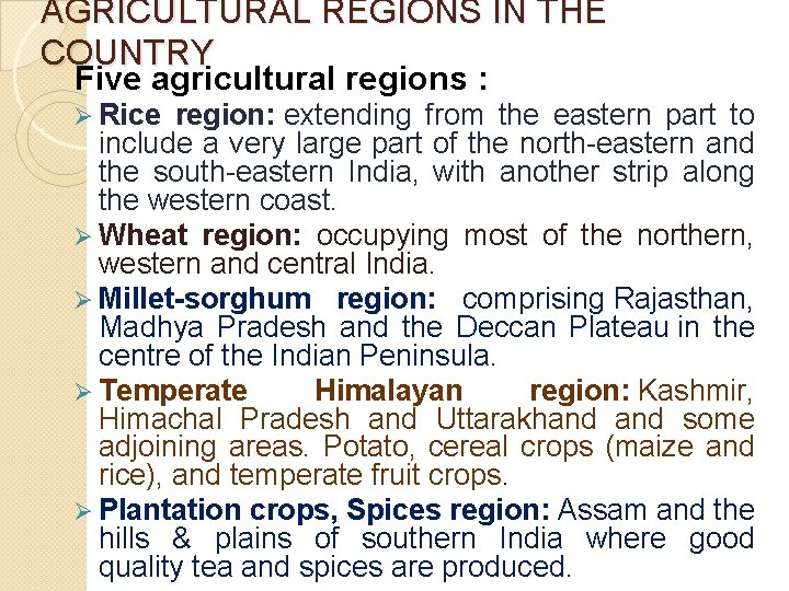 AGRICULTURAL REGIONS IN THE COUNTRY Five agricultural regions : Ø Rice region: extending from