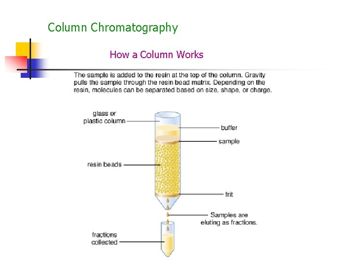 Column Chromatography How a Column Works 