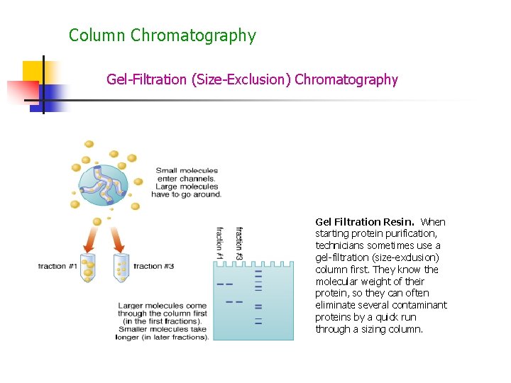 Column Chromatography Gel-Filtration (Size-Exclusion) Chromatography Gel Filtration Resin. When starting protein purification, technicians sometimes