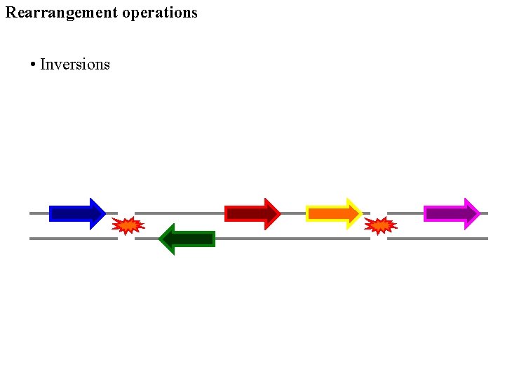 Rearrangement operations • Inversions 