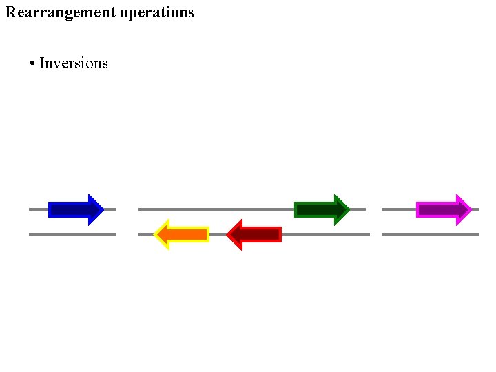 Rearrangement operations • Inversions 