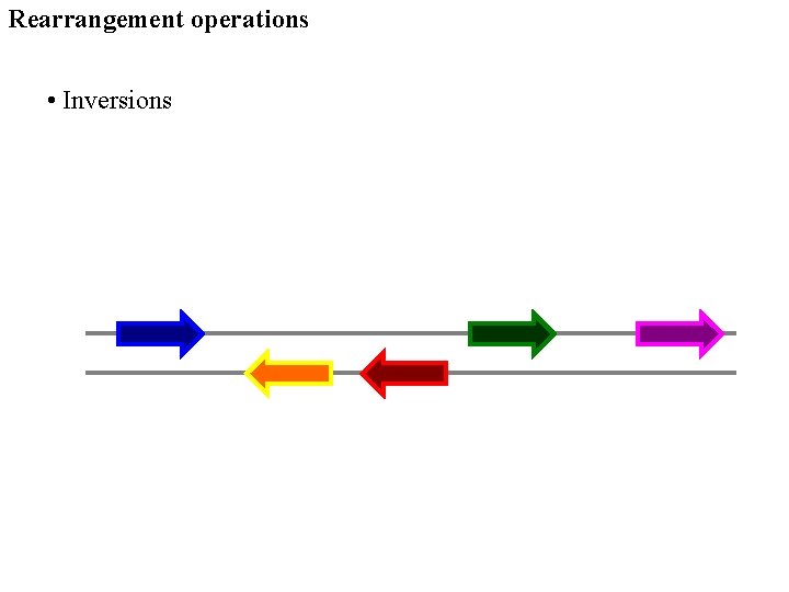 Rearrangement operations • Inversions 