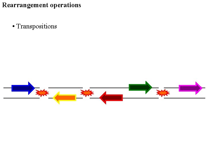 Rearrangement operations • Transpositions 