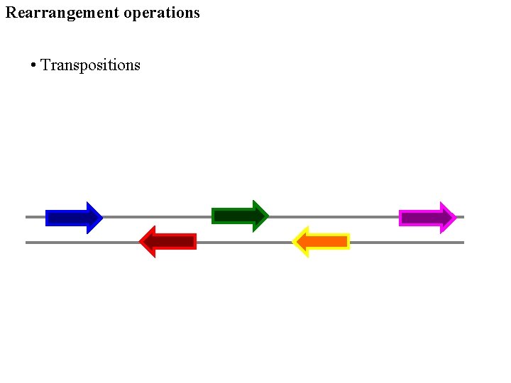 Rearrangement operations • Transpositions 