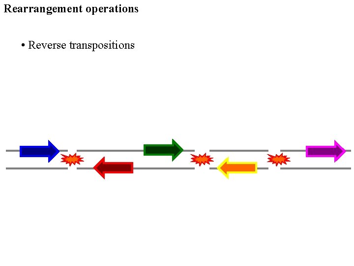 Rearrangement operations • Reverse transpositions 