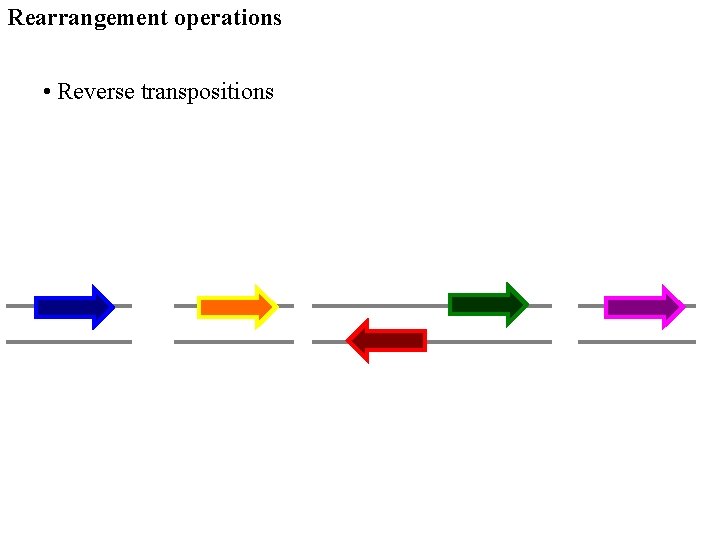 Rearrangement operations • Reverse transpositions 