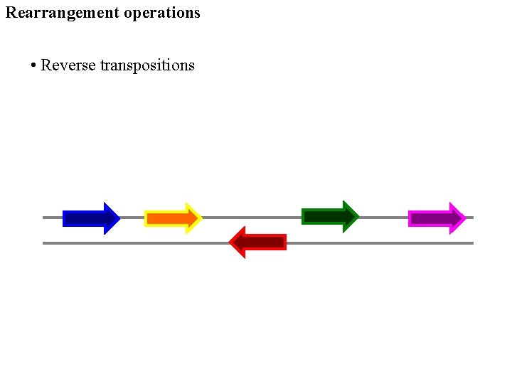 Rearrangement operations • Reverse transpositions 