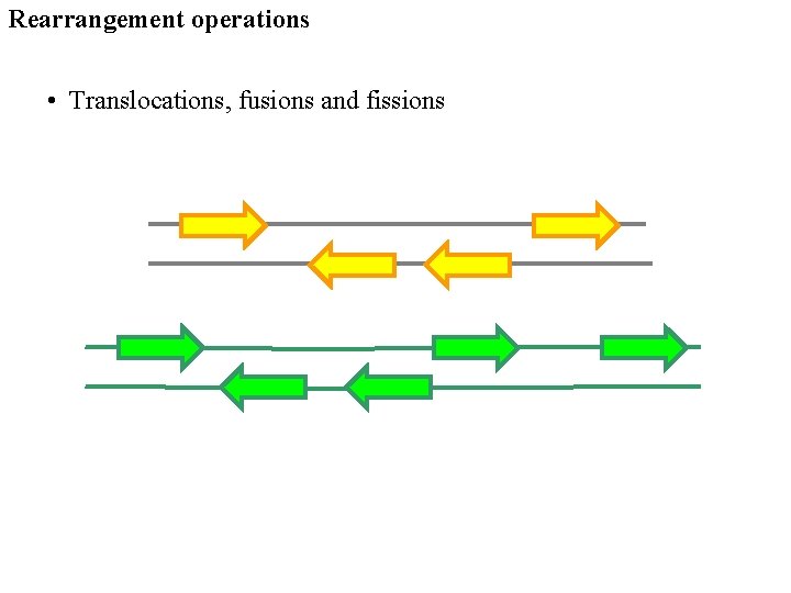 Rearrangement operations • Translocations, fusions and fissions 