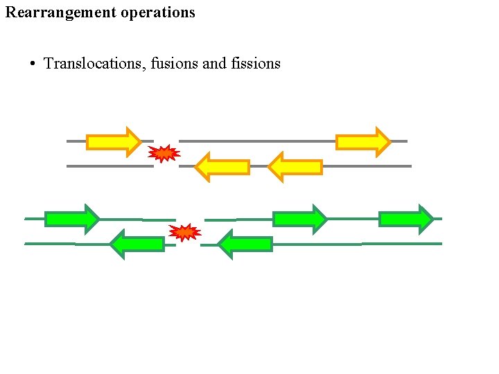 Rearrangement operations • Translocations, fusions and fissions 