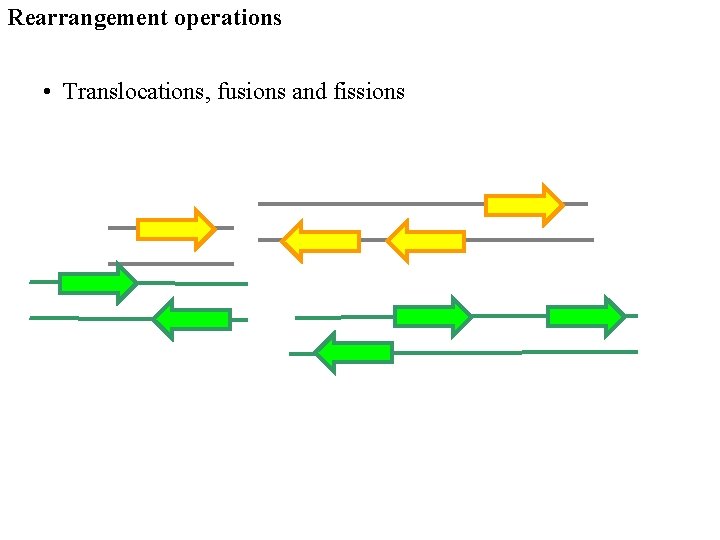 Rearrangement operations • Translocations, fusions and fissions 