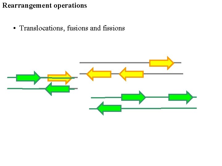 Rearrangement operations • Translocations, fusions and fissions 