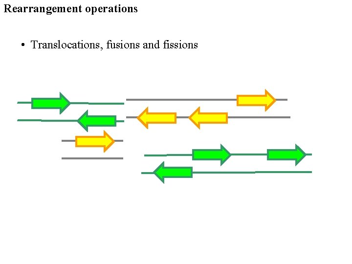 Rearrangement operations • Translocations, fusions and fissions 