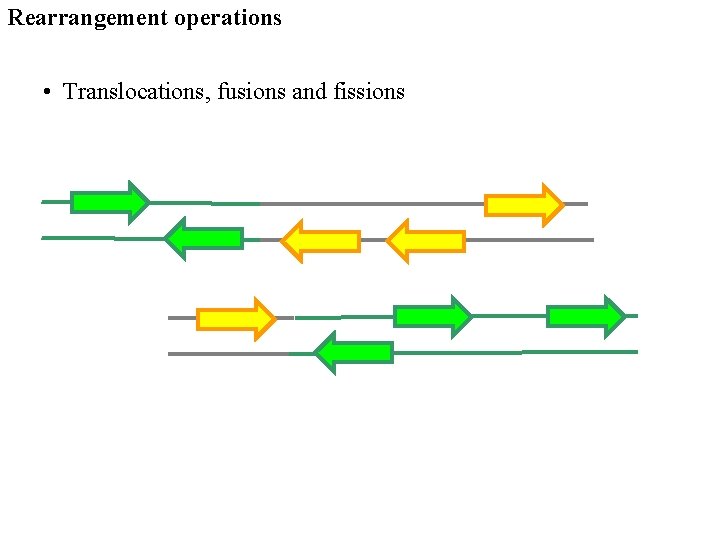 Rearrangement operations • Translocations, fusions and fissions 