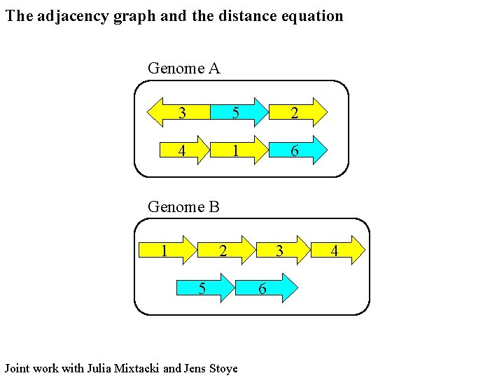 The adjacency graph and the distance equation Genome A 3 5 2 4 1