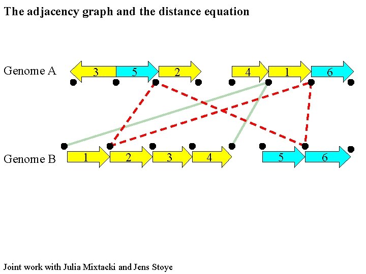 The adjacency graph and the distance equation Genome A Genome B 3 1 5