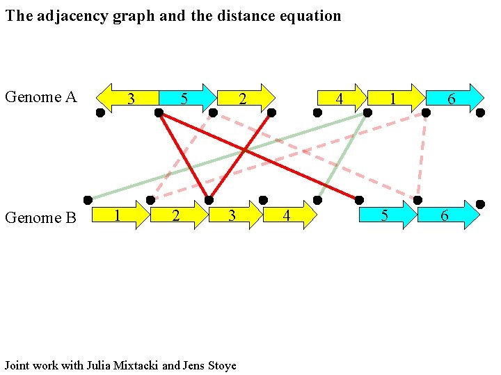 The adjacency graph and the distance equation Genome A Genome B 3 1 5