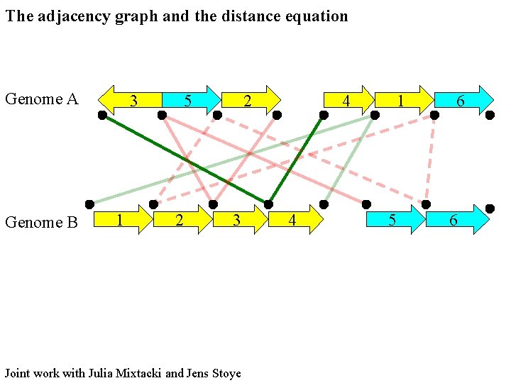 The adjacency graph and the distance equation Genome A Genome B 3 1 5