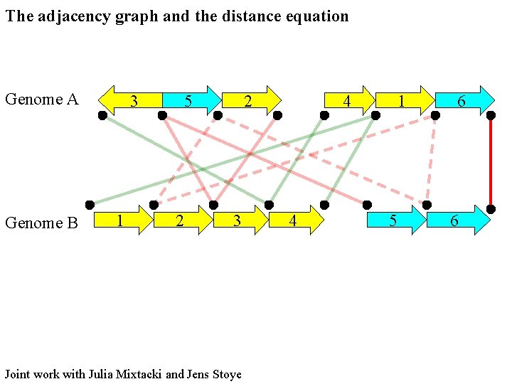 The adjacency graph and the distance equation Genome A Genome B 3 1 5