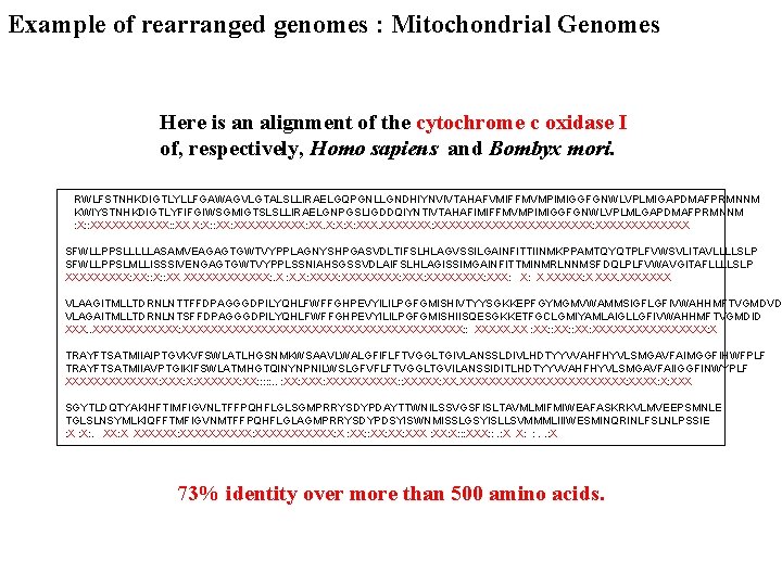 Example of rearranged genomes : Mitochondrial Genomes Here is an alignment of the cytochrome