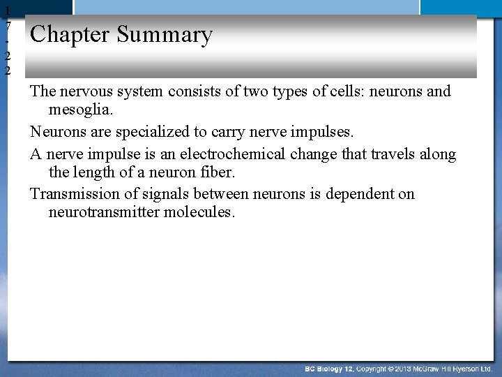 1 7 2 2 Chapter Summary The nervous system consists of two types of