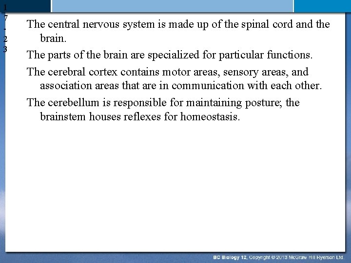1 7 2 3 The central nervous system is made up of the spinal
