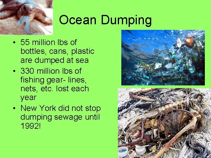 Ocean Dumping • 55 million lbs of bottles, cans, plastic are dumped at sea