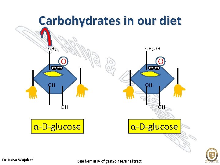 Carbohydrates in our diet CH₂OH O O OH OH α-D-glucose Dr Jariya Wajahat α-D-glucose