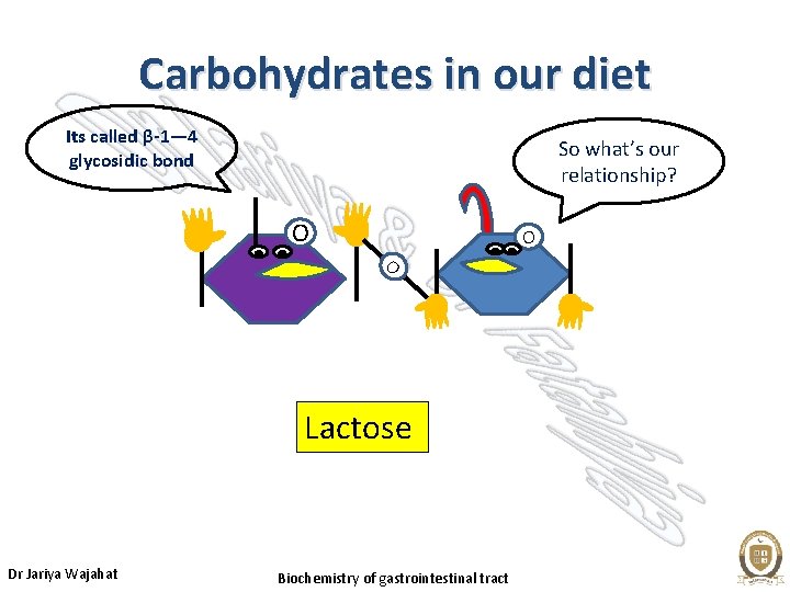 Carbohydrates in our diet Its called β-1— 4 glycosidic bond So what’s our relationship?