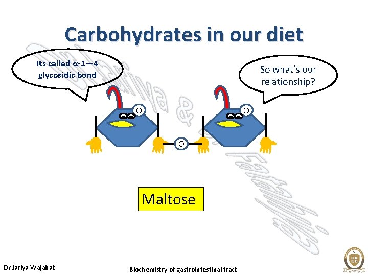 Carbohydrates in our diet Its called α-1— 4 glycosidic bond So what’s our relationship?