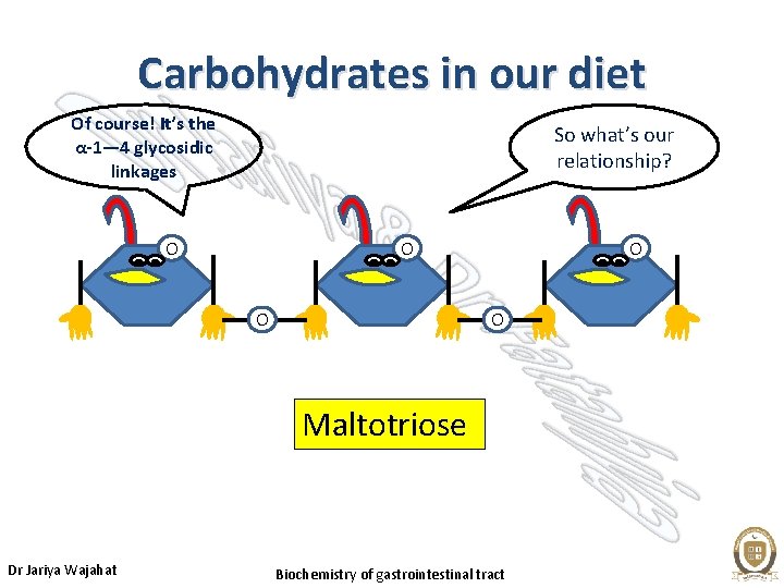 Carbohydrates in our diet Of course! It’s the α-1— 4 glycosidic linkages So what’s