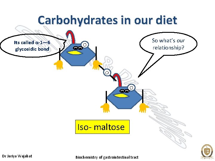 Carbohydrates in our diet Its called α-1— 6 glycosidic bond So what’s our relationship?