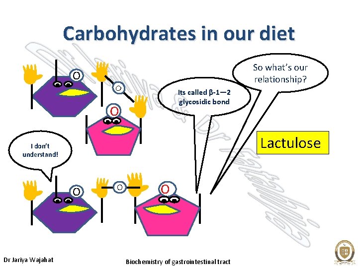 Carbohydrates in our diet O So what’s our relationship? O Its called β-1— 2