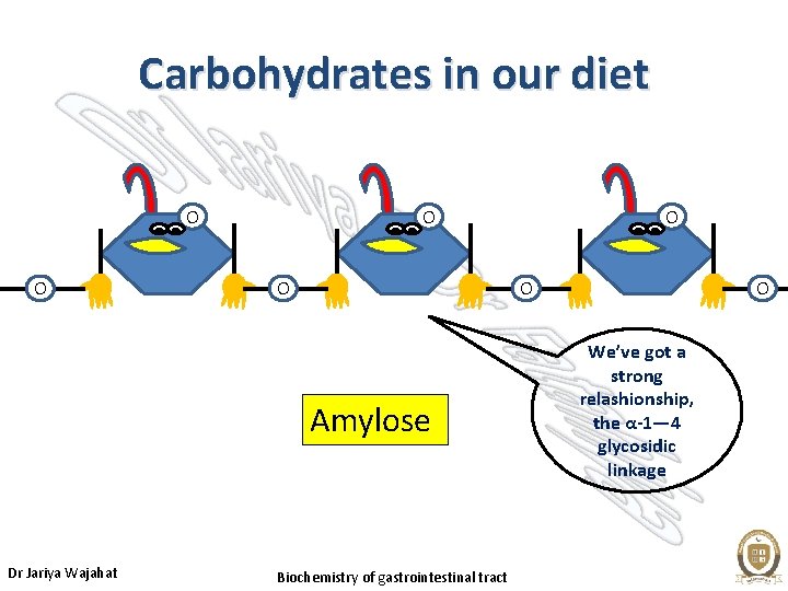 Carbohydrates in our diet O O O Amylose Dr Jariya Wajahat O Biochemistry of
