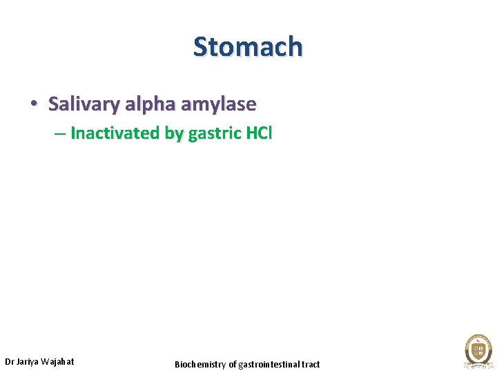 Stomach • Salivary alpha amylase – Inactivated by gastric HCl Dr Jariya Wajahat Biochemistry
